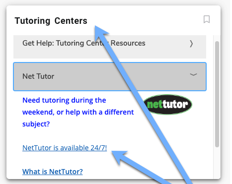 NetTutor Portal Login