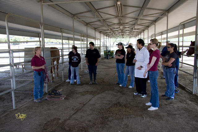 Equine Center