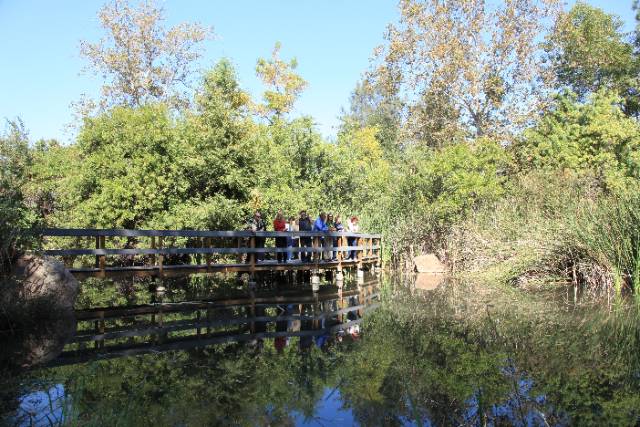 the wildlife sanctuary pond